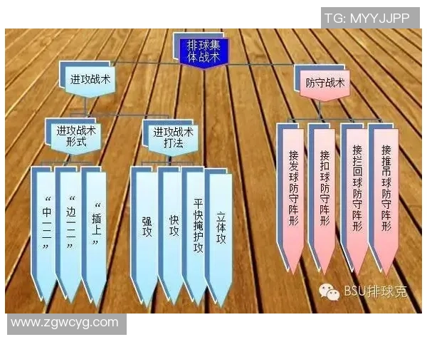 深圳排球队在精英赛中的战术分析与表现评估